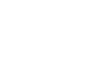 horizonmotorgrpoup